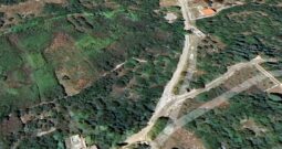 Molat, Brgulje- građevinski teren 625m2, udaljenost od mora 700m