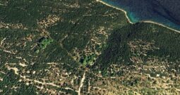 Dugi otok- 22.000m2 poljoprivrednog zemljišta sa maslinama 120m od mora!